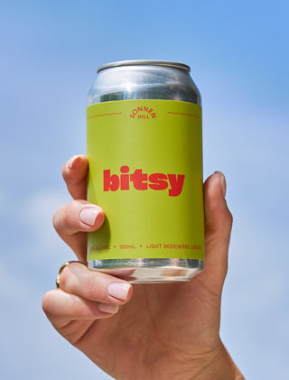 Bitsy